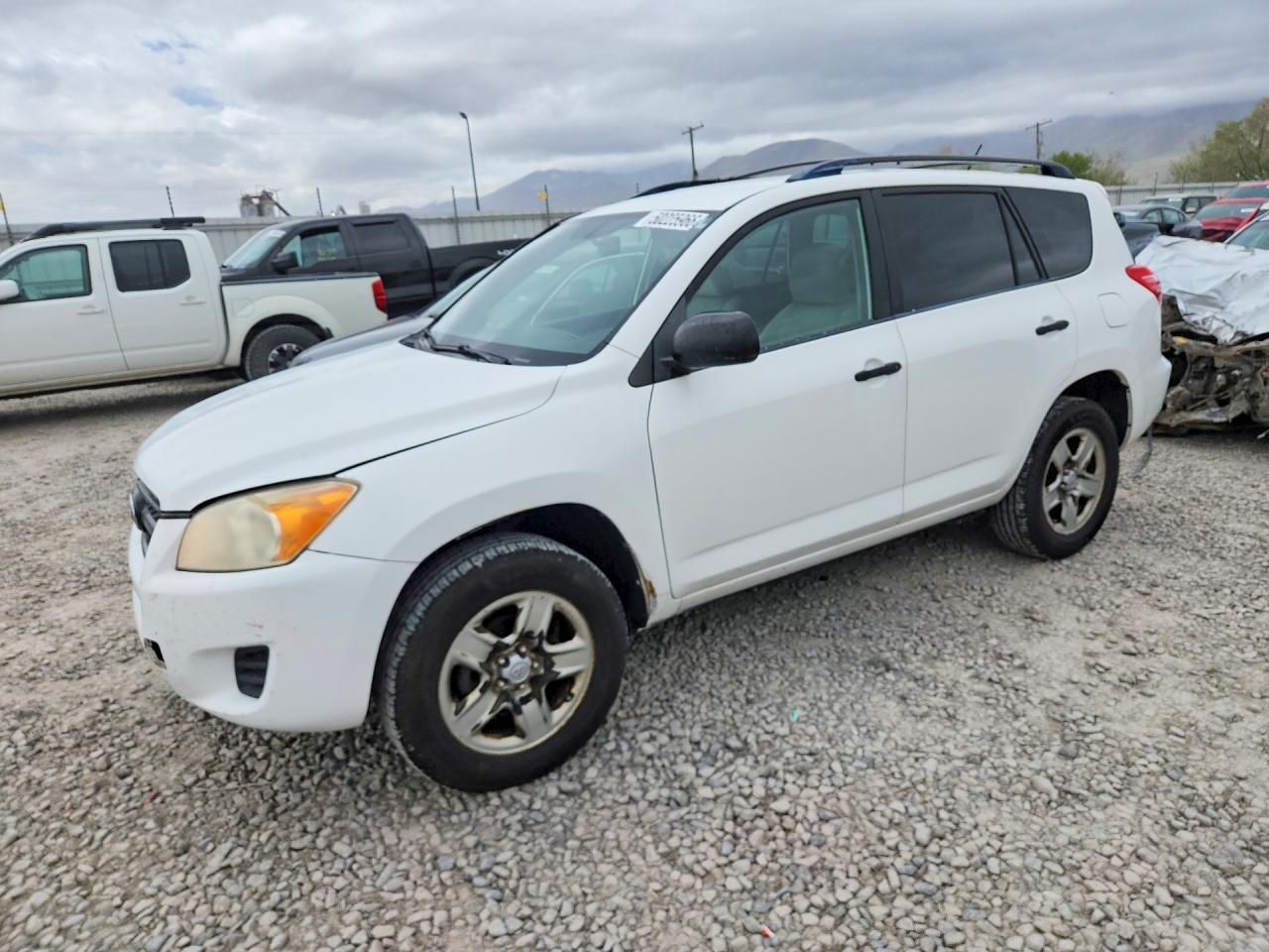 2009 TOYOTA RAV4 BASE | JTMZF33V39D008629 | UPCARS