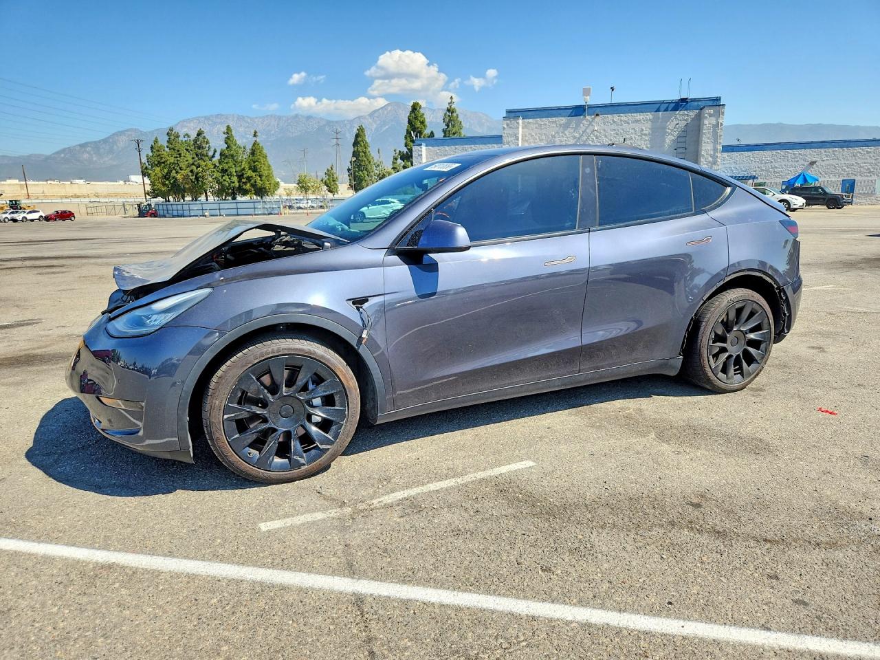 2021 TESLA MODEL Y | 5YJYGDEE6MF159560 | UPCARS