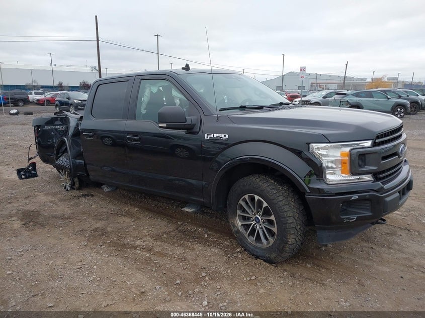 2019 FORD F-150 XLT | 1FTEW1EP7KFB94977 | UPCARS