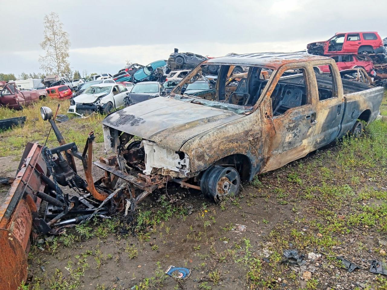 2005 FORD F250 SUPER DUTY | 1FTSW21535EC39937 | UPCARS