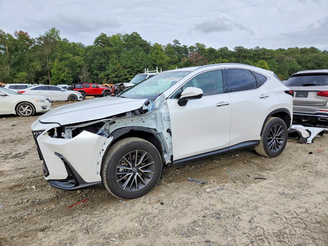 2024 LEXUS NX BASE | 2T2AKCEZ1RC017038 | UPCARS
