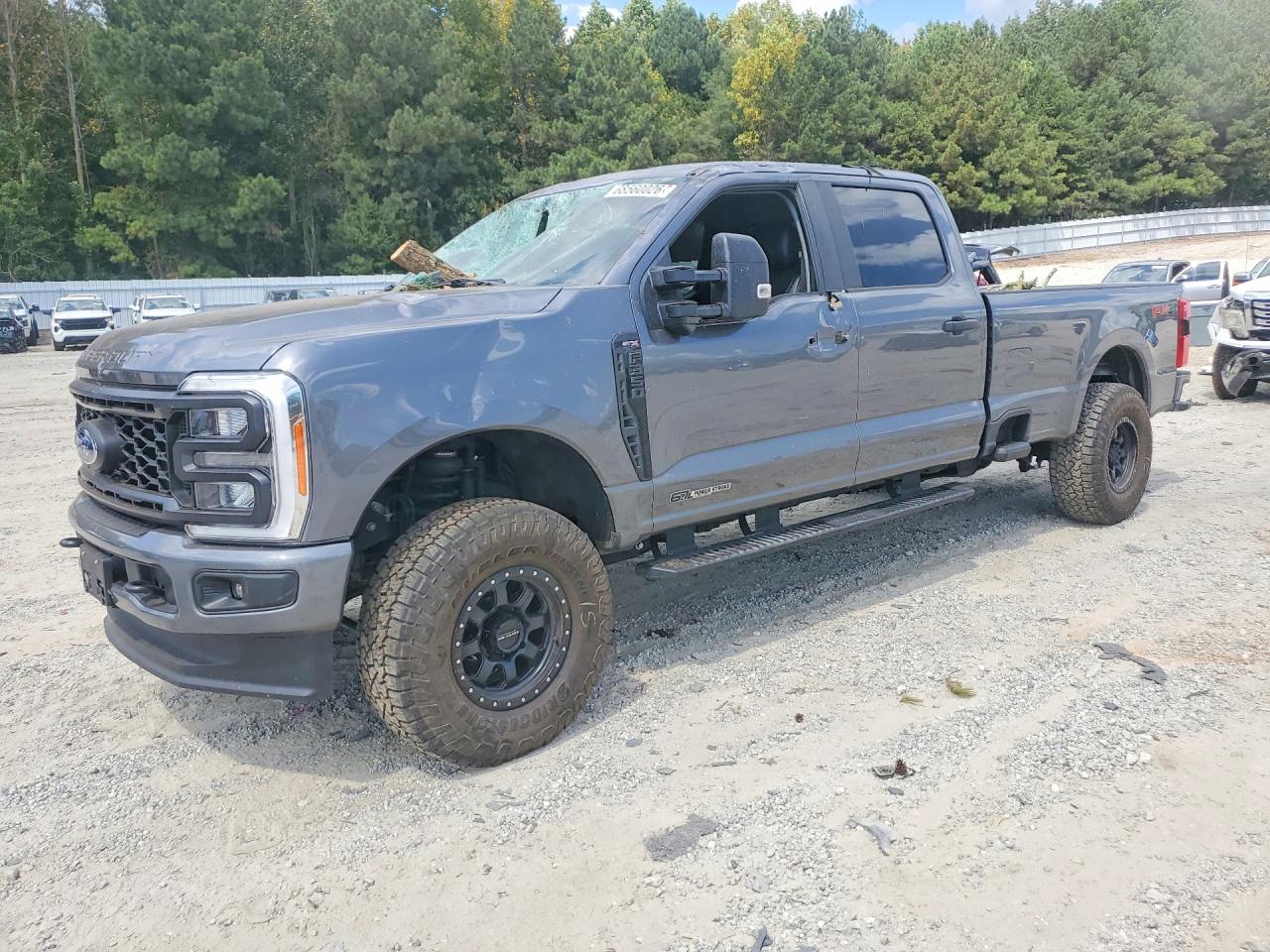 2023 FORD F350 SUPER DUTY | 1FT8W3BTXPED14245 | UPCARS