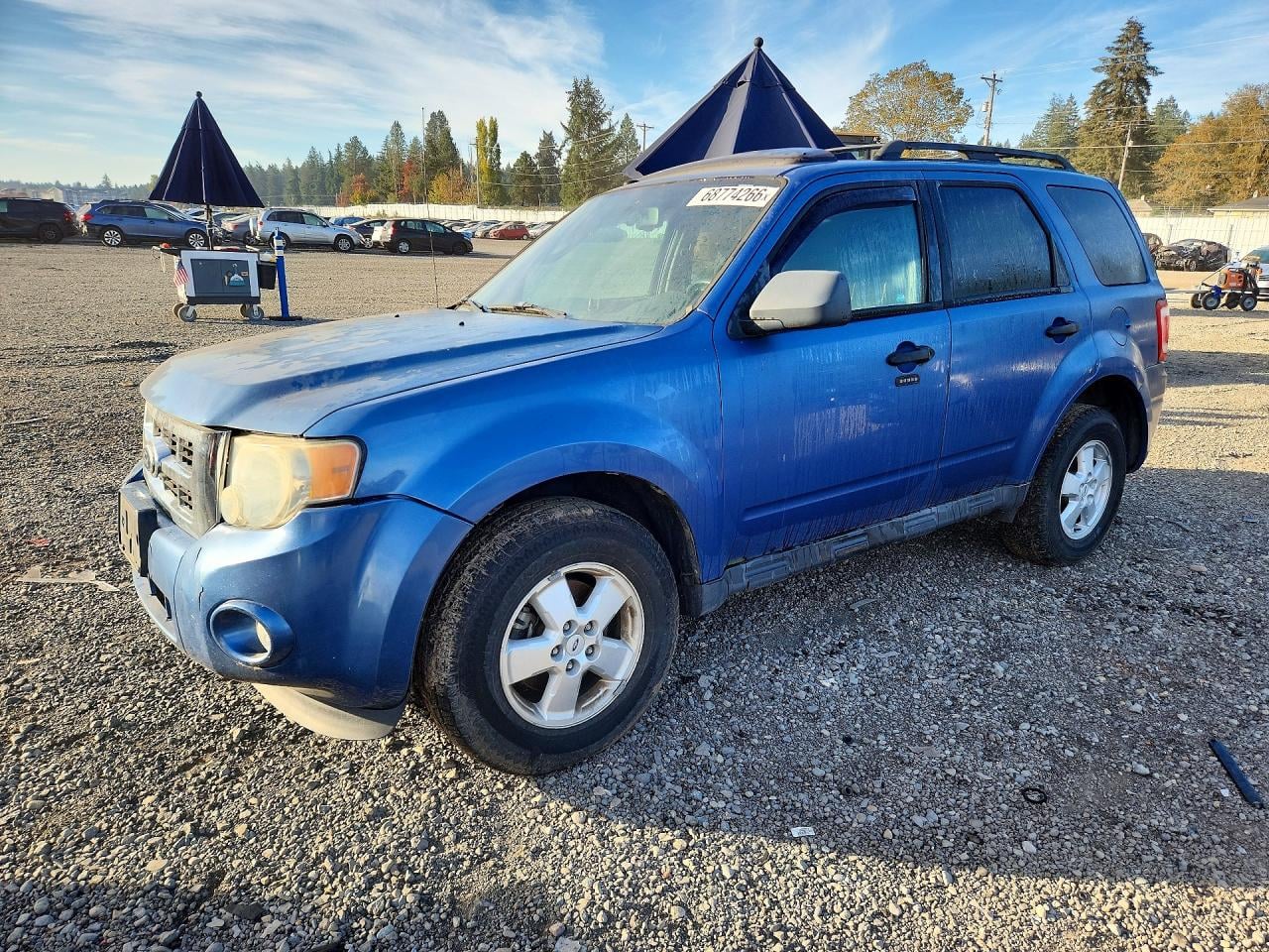 2010 FORD ESCAPE XLT | 1FMCU9DG6AKB80843 | UPCARS