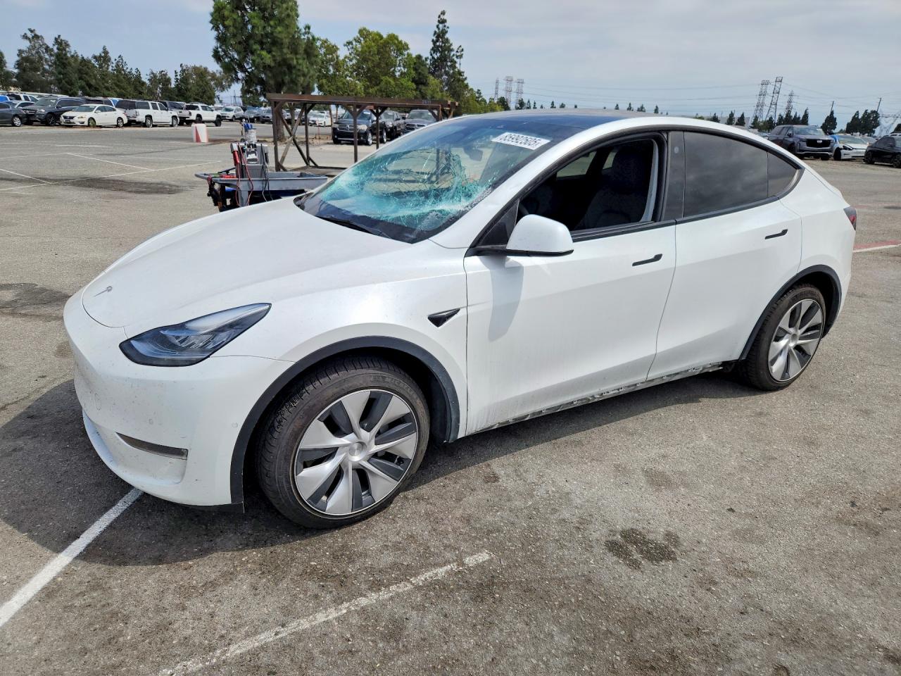 2022 TESLA MODEL Y | 7SAYGDEE8NF327641 | UPCARS
