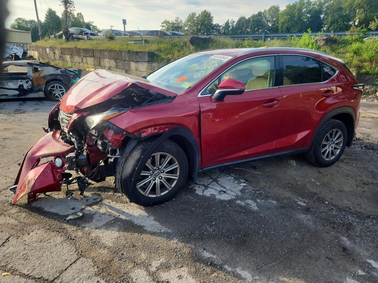 2019 LEXUS NX BASE | JTJBARBZ3K2192220 | UPCARS