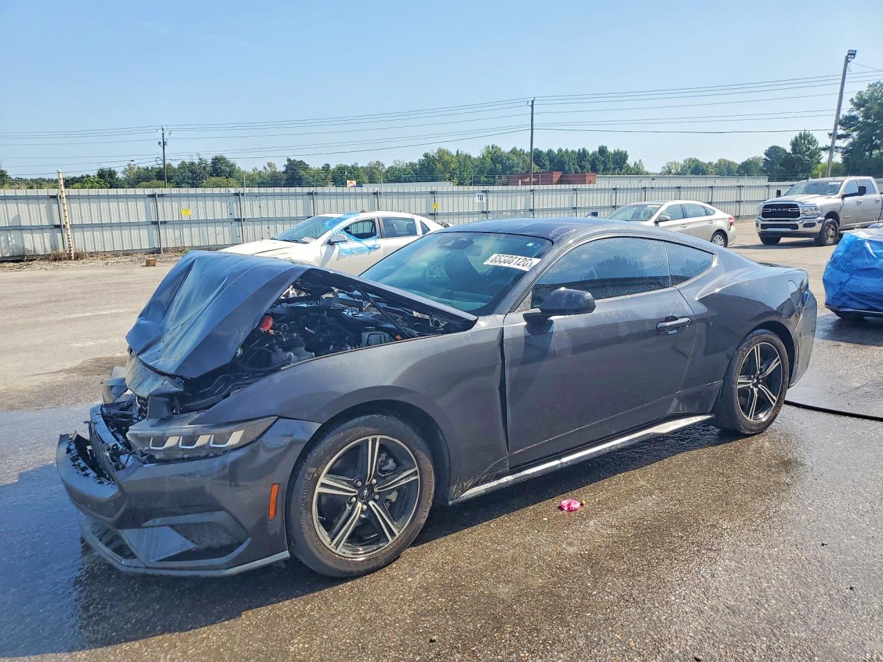 2024 FORD MUSTANG | 1FA6P8TH6R5145636 | UPCARS