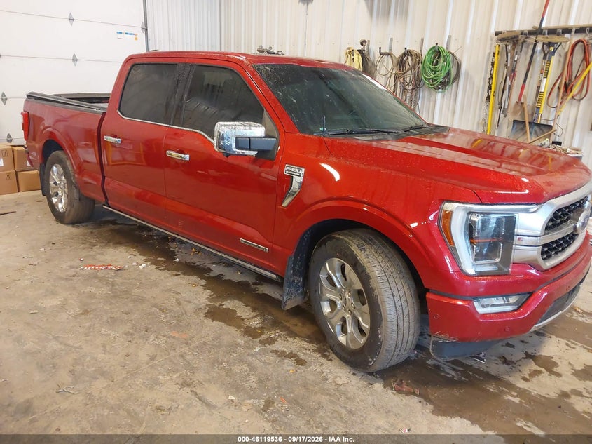 2021 FORD F-150 PLATINUM | 1FTFW1CD8MFA58681 | UPCARS