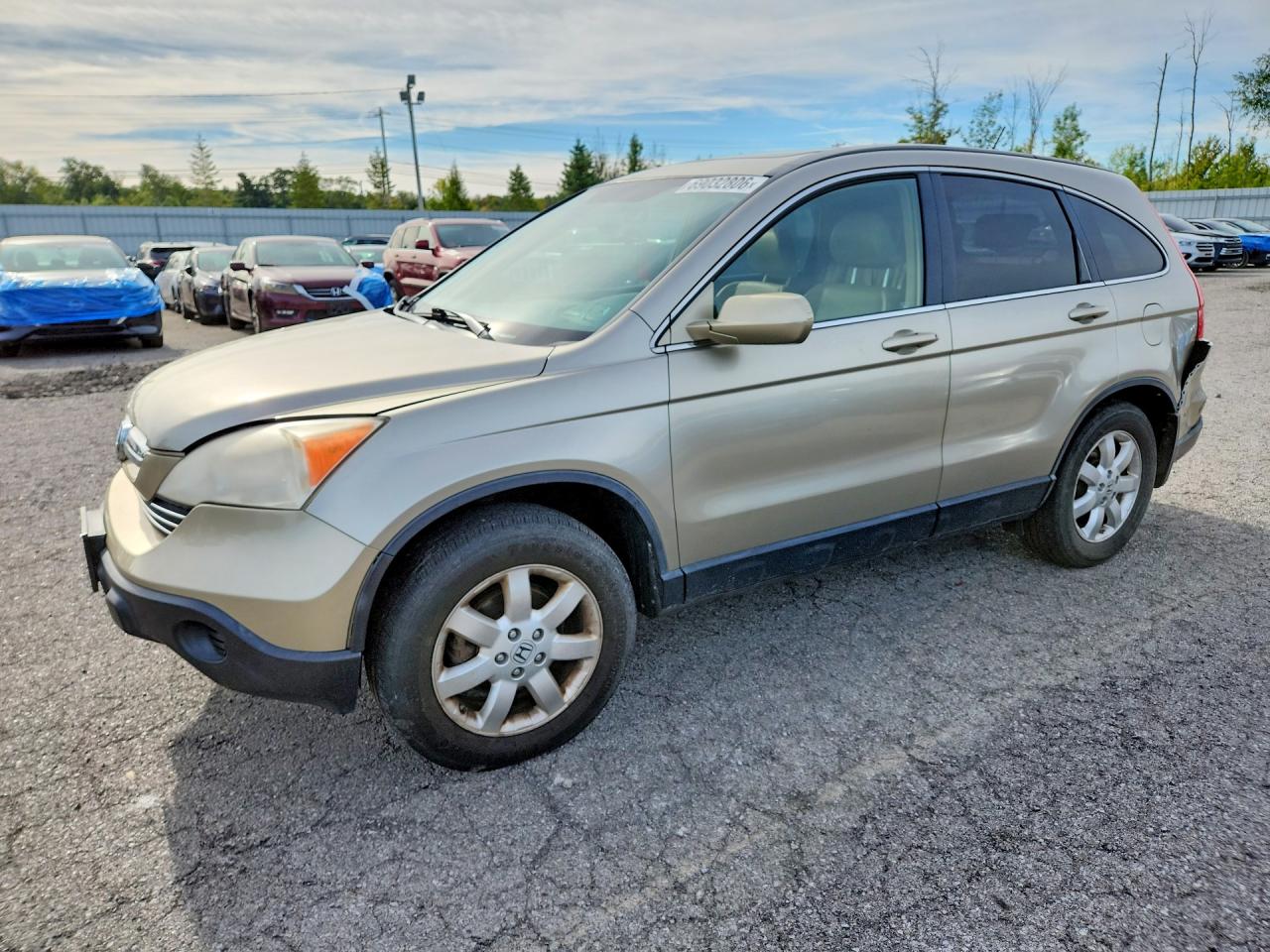 2007 HONDA CRV EXL | JHLRE487X7C003128 | UPCARS