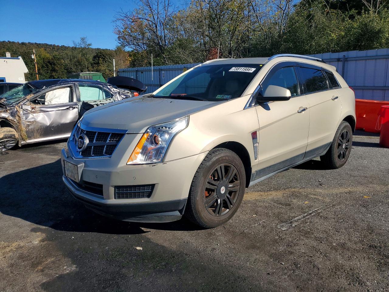 2011 CADILLAC SRX LUXURY COLLECTION | 3GYFNAEY3BS558480 | UPCARS
