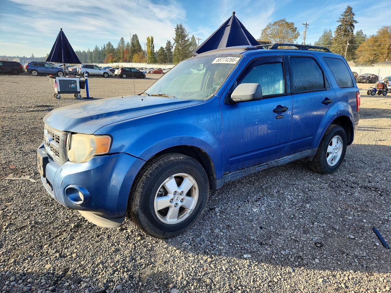2010 FORD ESCAPE XLT | 1FMCU9DG6AKB80843 | UPCARS