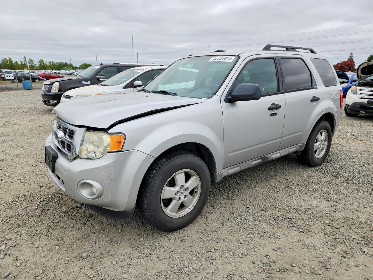 2009 FORD ESCAPE XLT | 1FMCU03779KB39923 | UPCARS