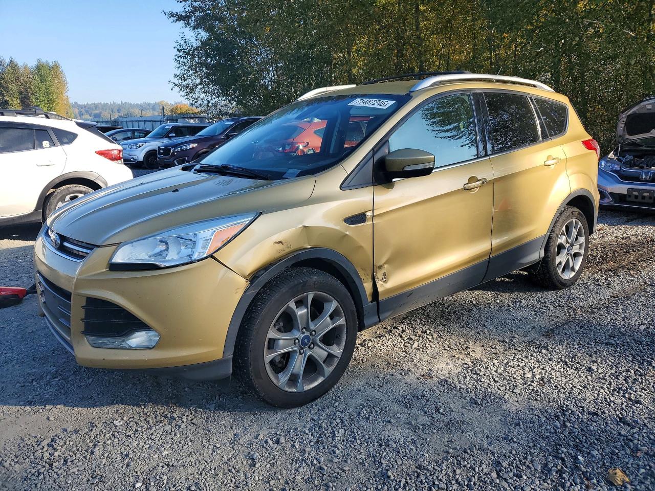2014 FORD ESCAPE TITANIUM | 1FMCU9J9XEUE41732 | UPCARS