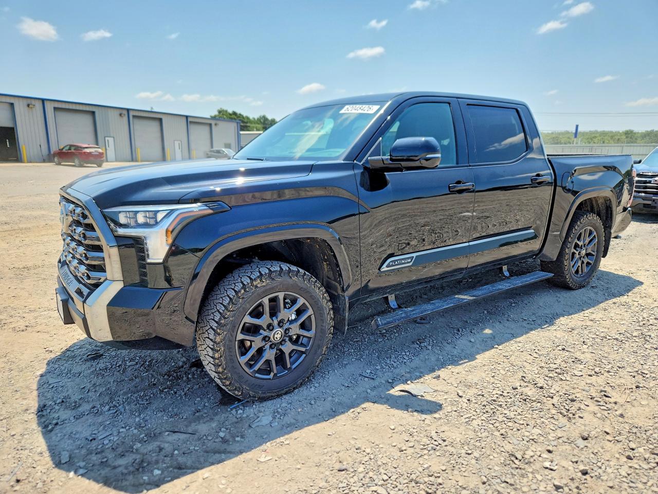 2025 TOYOTA TUNDRA PLATINUM | 5TFNA5DB2SX285788 | UPCARS