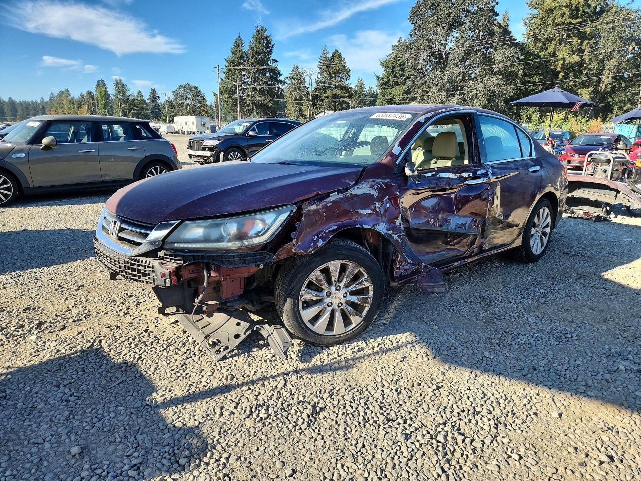 2014 HONDA ACCORD EXL | 1HGCR2F80EA177565 | UPCARS