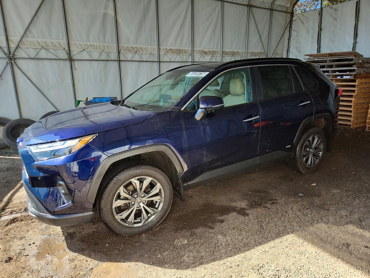 2023 TOYOTA RAV4 LIMITED | 2T3DWRFV4PW175218 | UPCARS