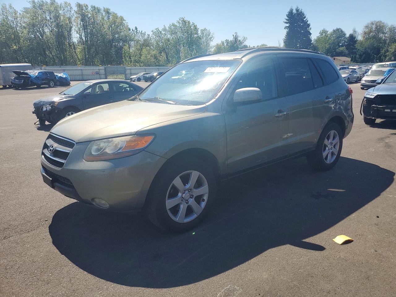 2007 HYUNDAI SANTA FE SE | 5NMSH13EX7H024041 | UPCARS
