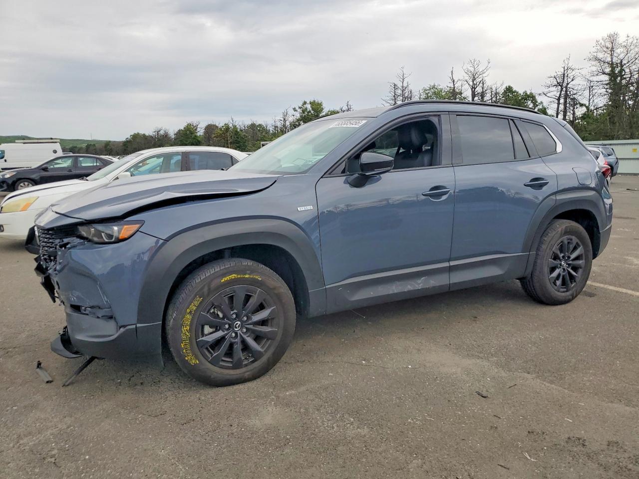 2025 MAZDA CX-50 PREMIUM | 7MMVAADW6SN106630 | UPCARS