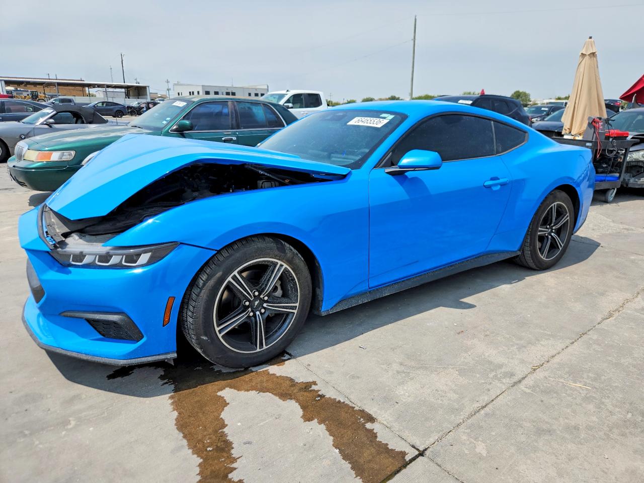 2024 FORD MUSTANG | 1FA6P8TH4R5100436 | UPCARS