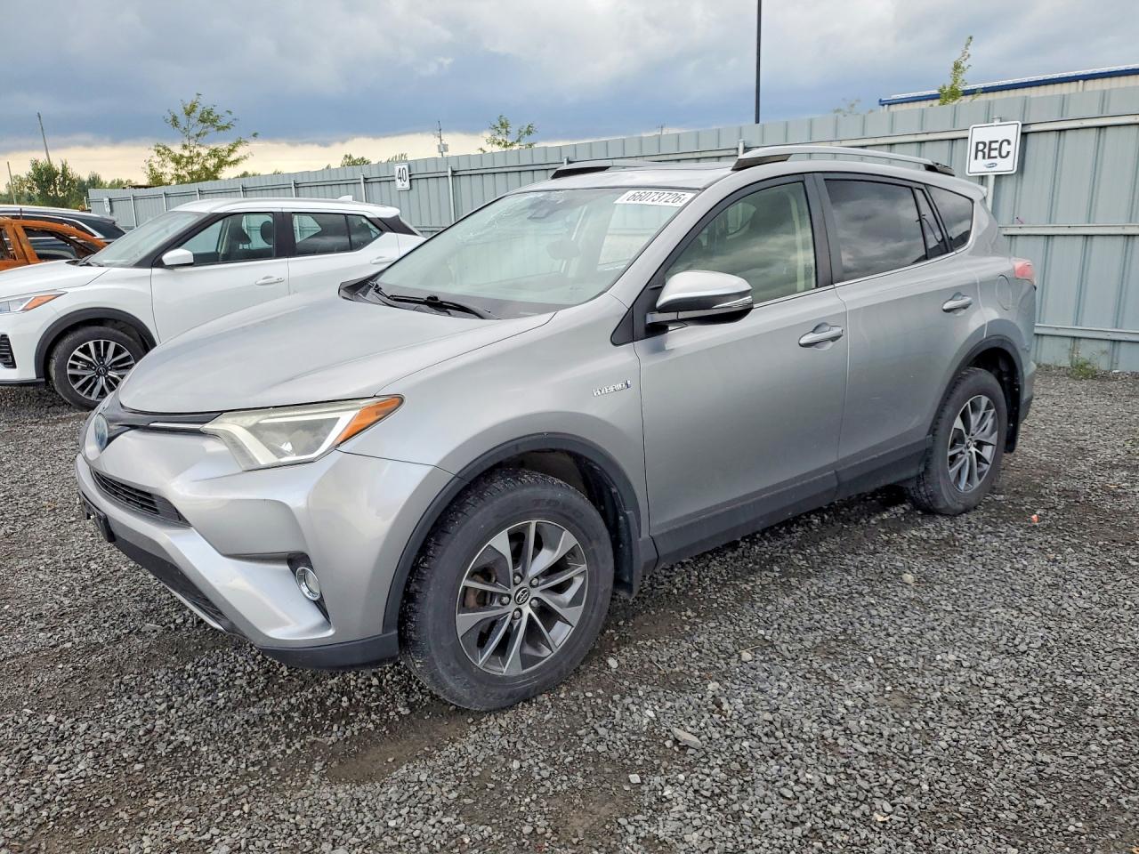2017 TOYOTA RAV4 XLE | JTMRJREV8HD059878 | UPCARS