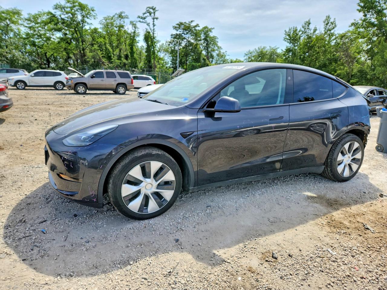 2024 TESLA MODEL Y | 7SAYGDED1RF039389 | UPCARS