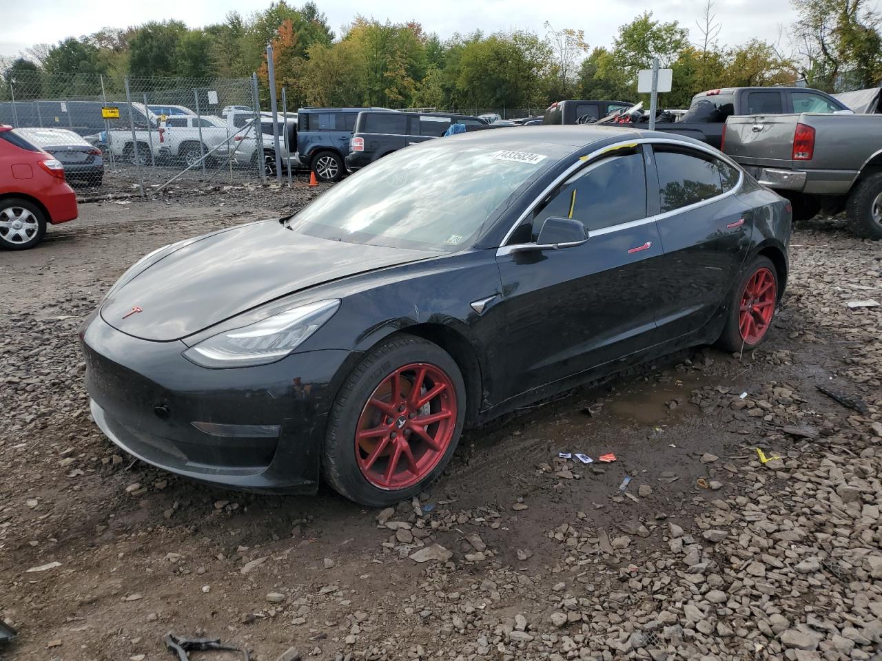 2019 TESLA MODEL 3 | 5YJ3E1EAXKF395556 | UPCARS