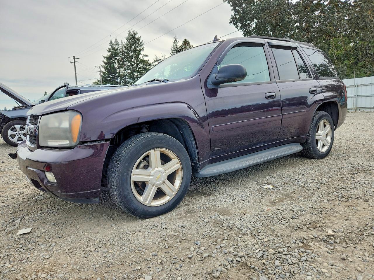 2008 CHEVROLET TRAILBLAZE LS | 1GNDS13S082136361 | UPCARS