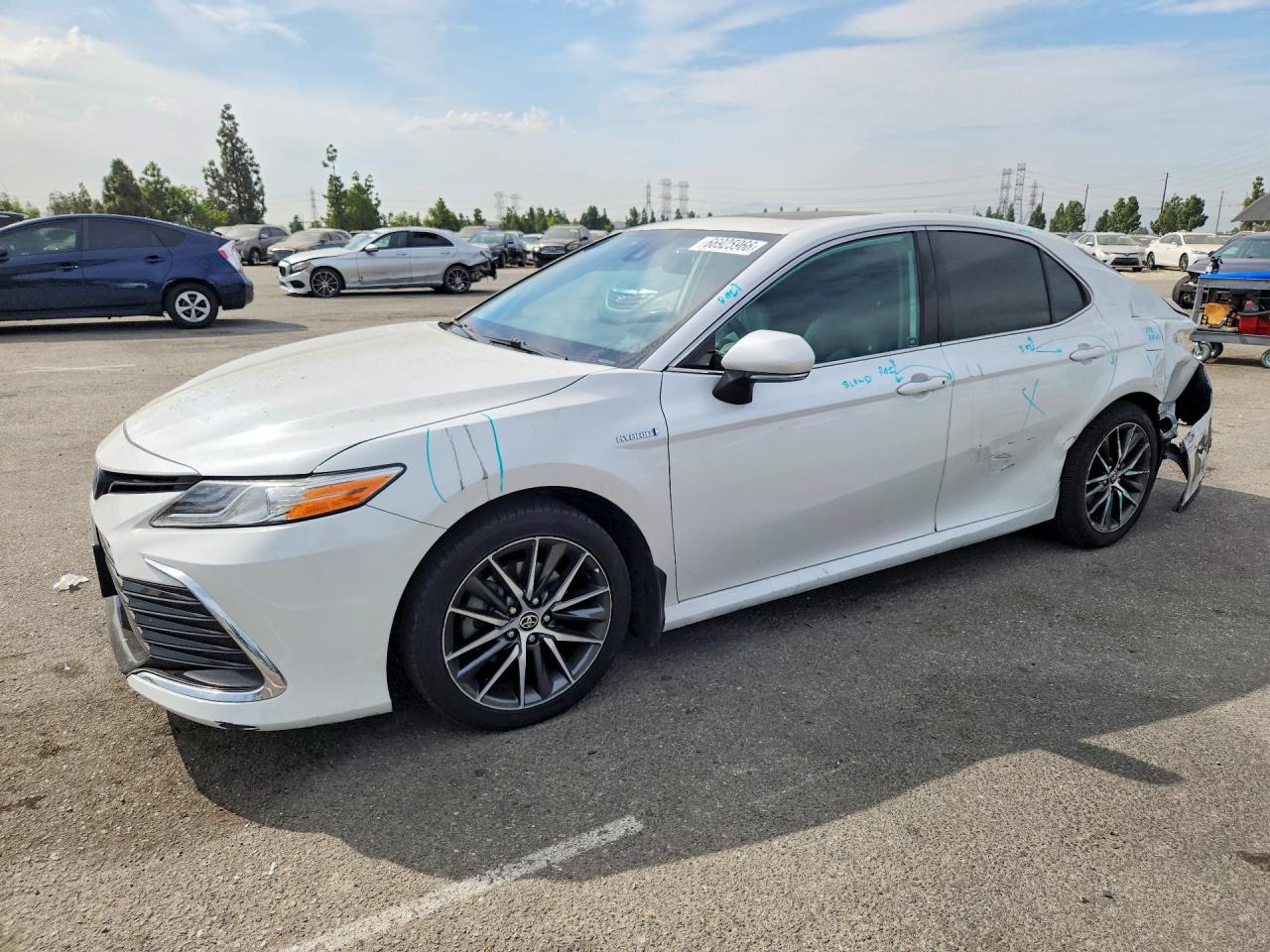 2021 TOYOTA CAMRY XLE | 4T1F31AK4MU549251 | UPCARS