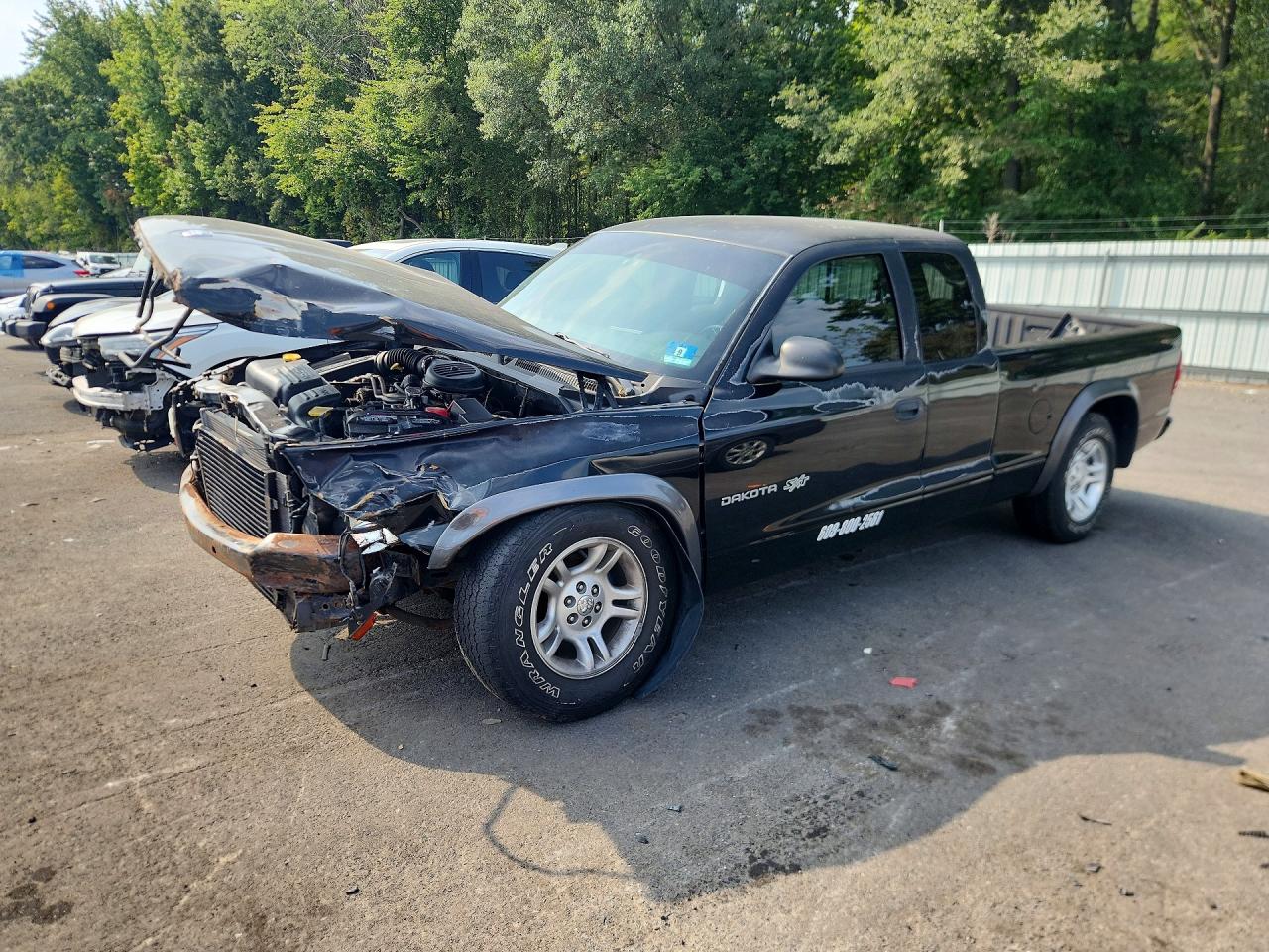 2002 DODGE DAKOTA BASE | 1B7GL12X22S707260 | UPCARS