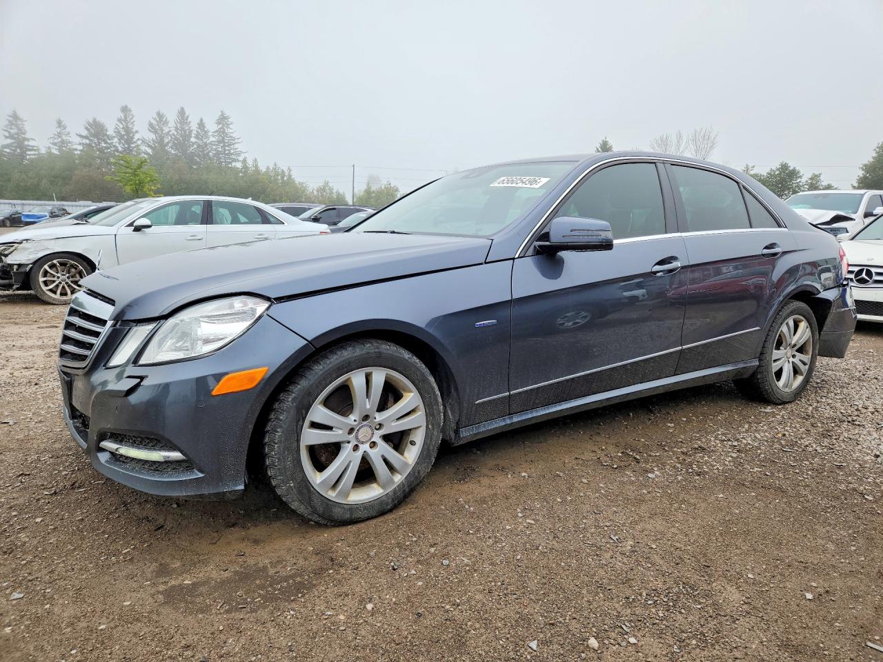 2012 MERCEDES-BENZ 300-CLASS | WDDHF8BB1CA644934 | UPCARS