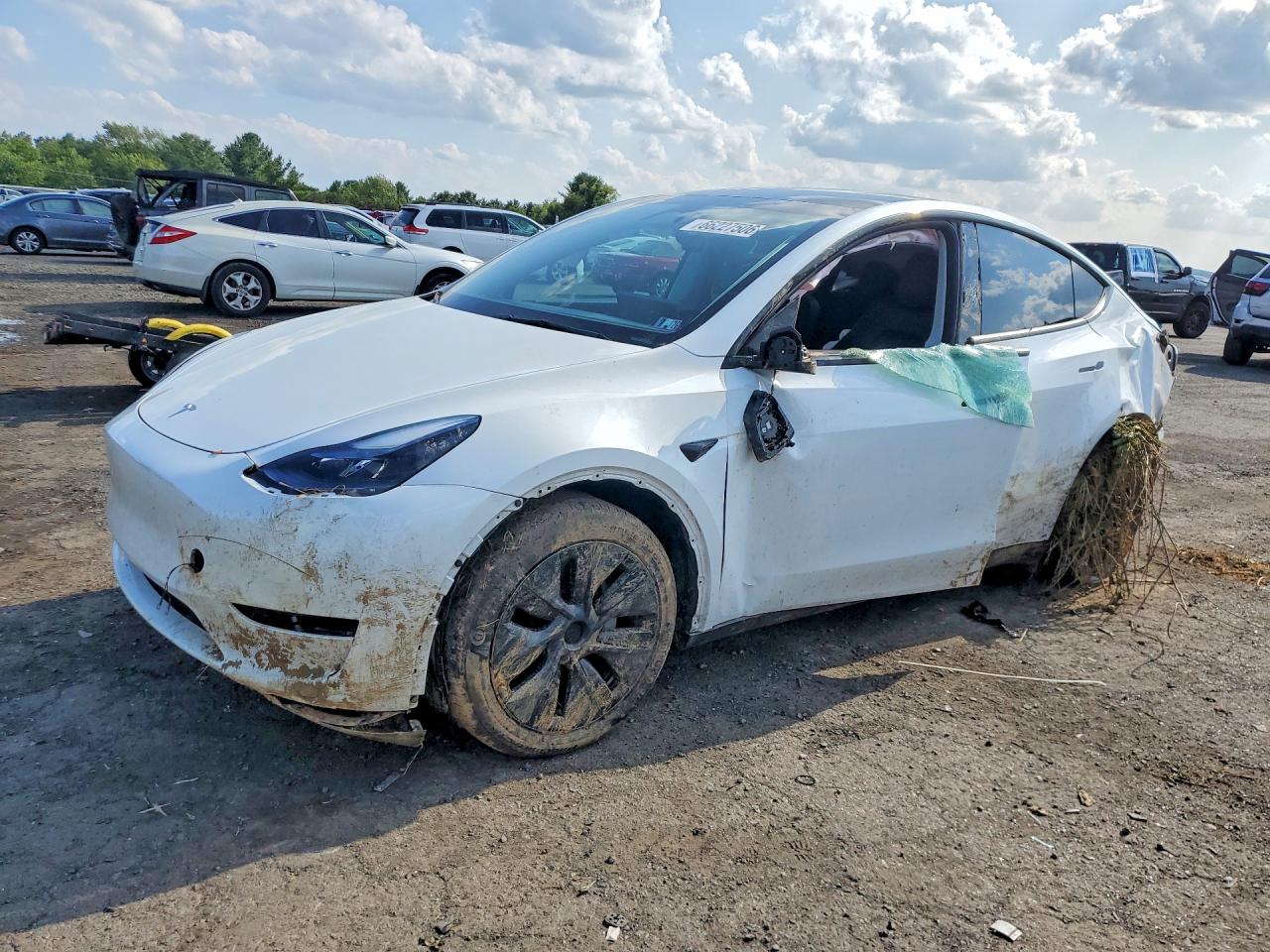 2024 TESLA MODEL Y | 7SAYGDEDXRF104739 | UPCARS