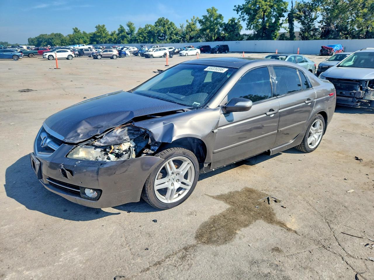 2008 ACURA TL | 19UUA662X8A042516 | UPCARS