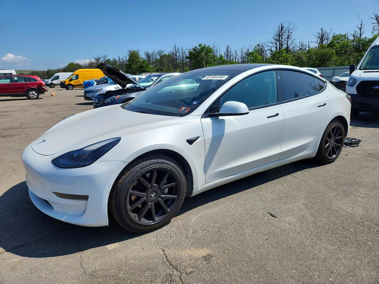 2021 TESLA MODEL 3 | 5YJ3E1EA0MF090103 | UPCARS