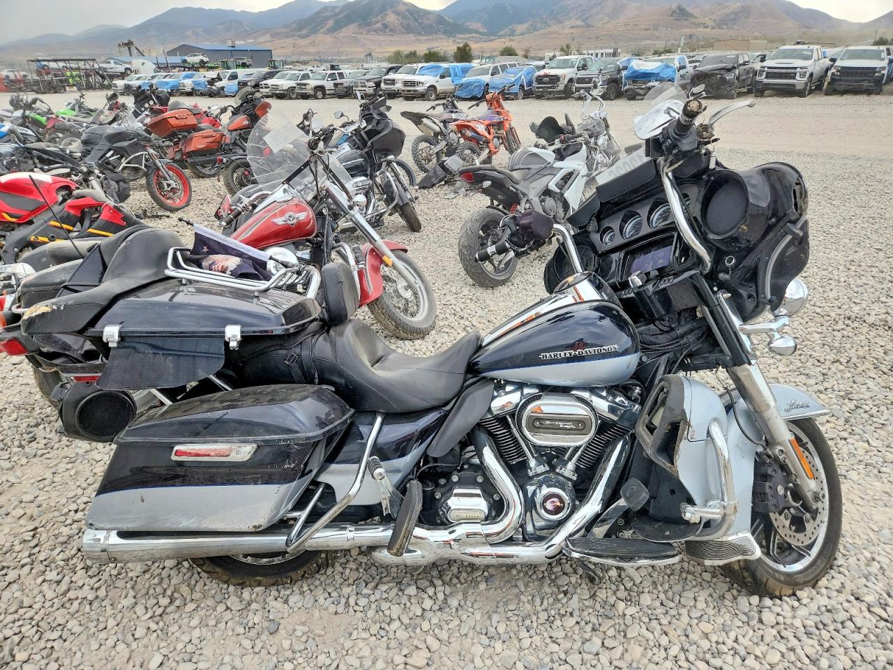 2019 HARLEY-DAVIDSON FL | 1HD1KEF11KB648528 | UPCARS