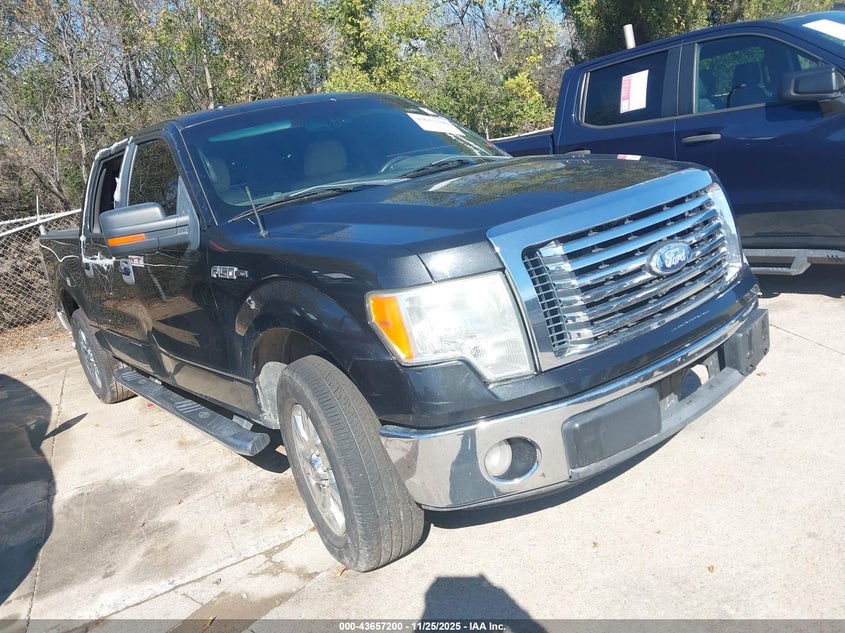 2010 FORD F-150 | 1FTEW1C85AFA98579 | UPCARS