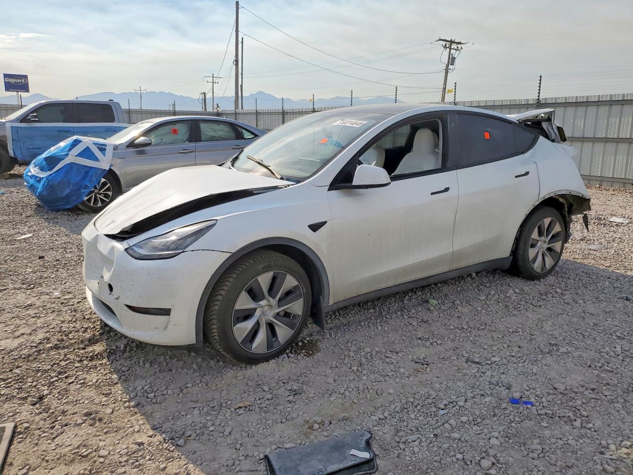 2023 TESLA MODEL Y | 7SAYGDEE2PF617277 | UPCARS