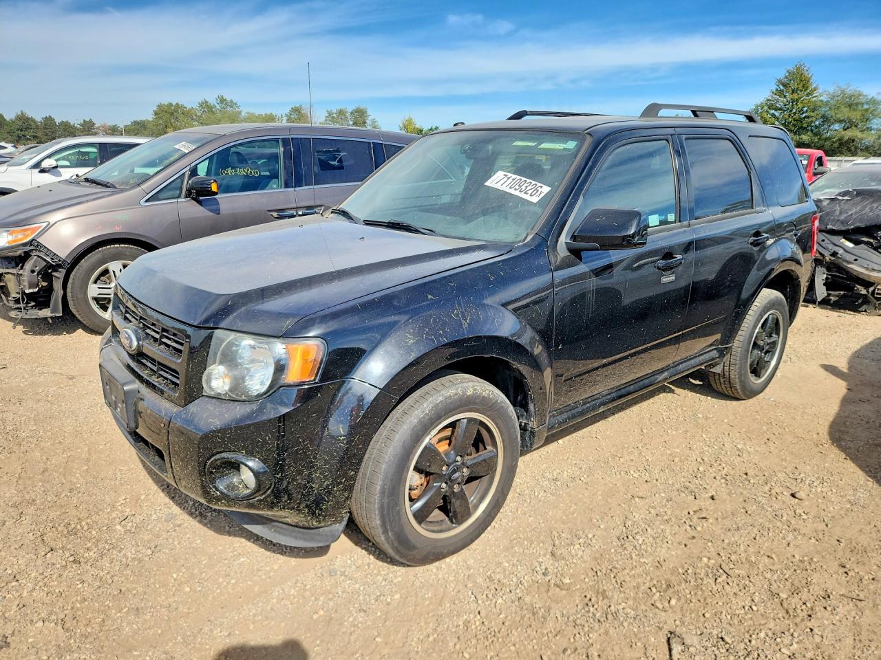 2010 FORD ESCAPE | 1FMCU0DG7AKD05814 | UPCARS