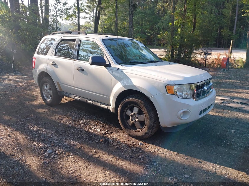 2011 FORD ESCAPE XLT | 1FMCU9D77BKC11583 | UPCARS