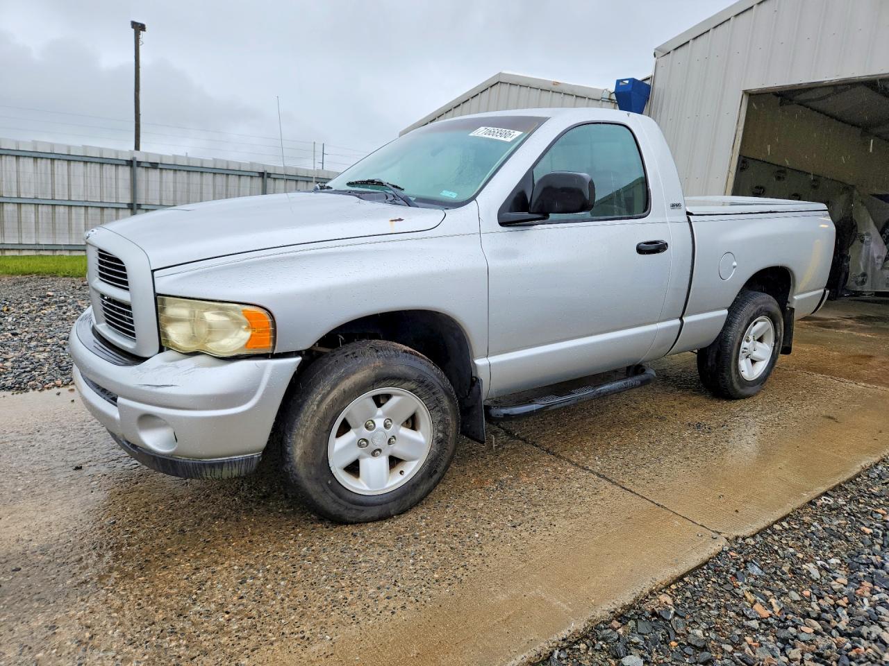 2002 DODGE RAM 1500 | 1D7HA16N22J129241 | UPCARS