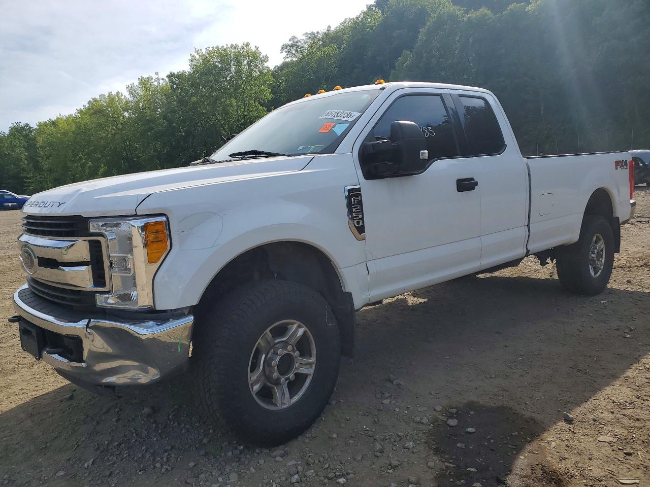 2017 FORD F250 SUPER DUTY | 1FT7X2B60HEB55623 | UPCARS