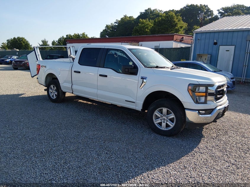 2023 FORD F-150 XLT | 1FTFW1ED3PFB49701 | UPCARS