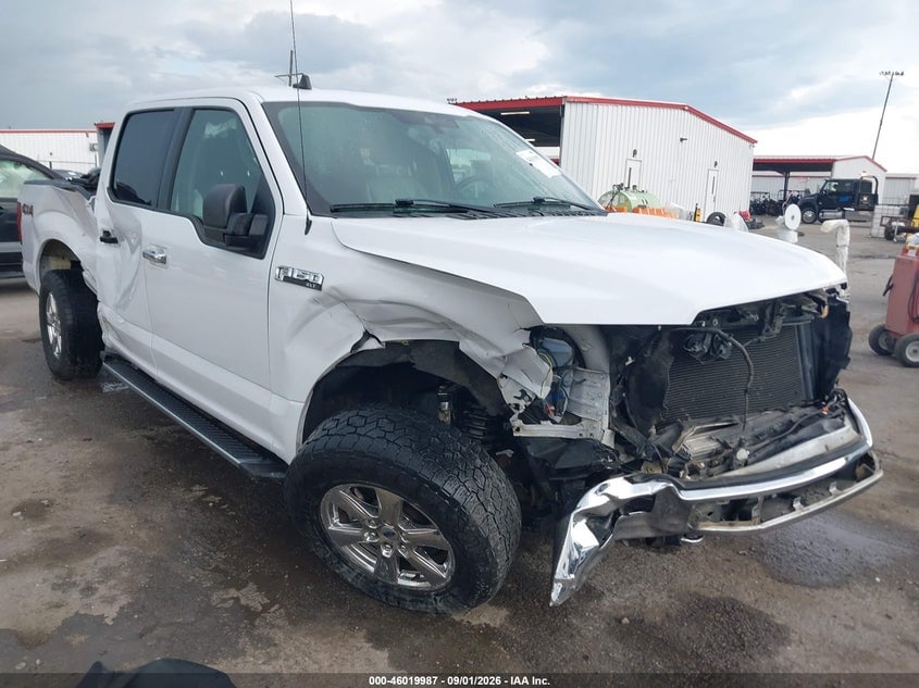 2019 FORD F-150 XLT | 1FTFW1E45KKD54419 | UPCARS