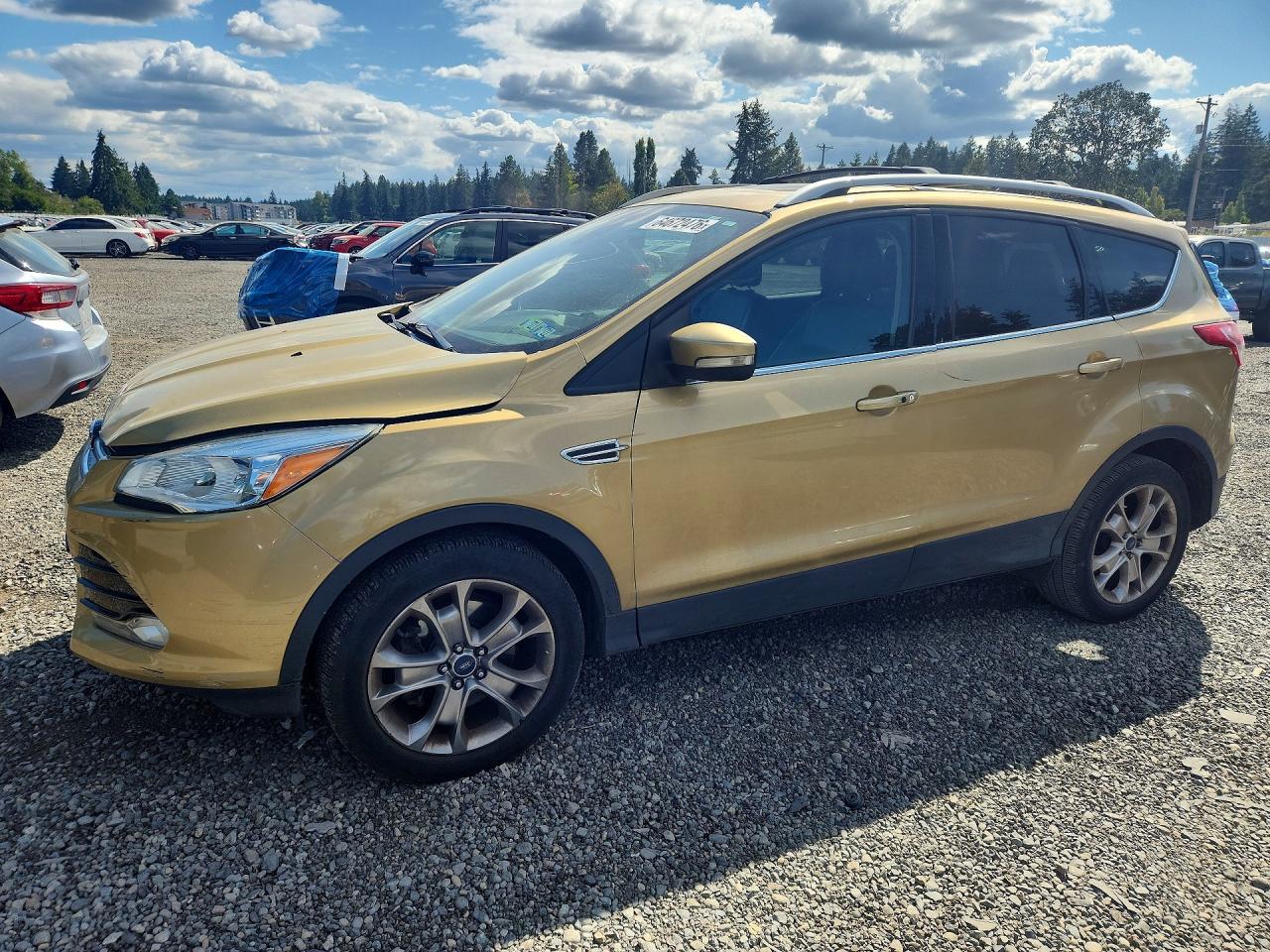 2014 FORD ESCAPE TITANIUM | 1FMCU9J92EUE46102 | UPCARS