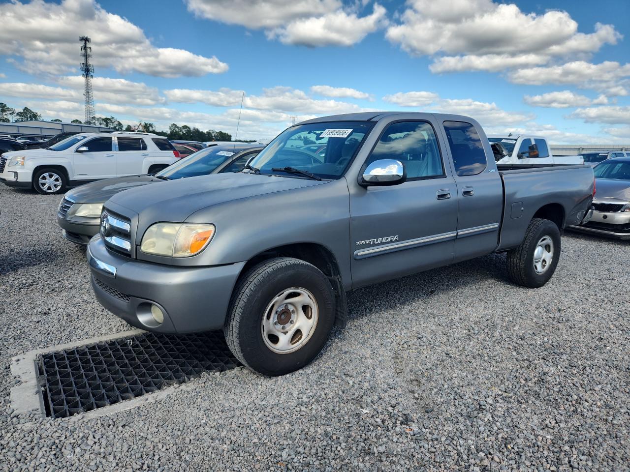2006 TOYOTA TUNDRA SR5 | 5TBRU34146S463337 | UPCARS