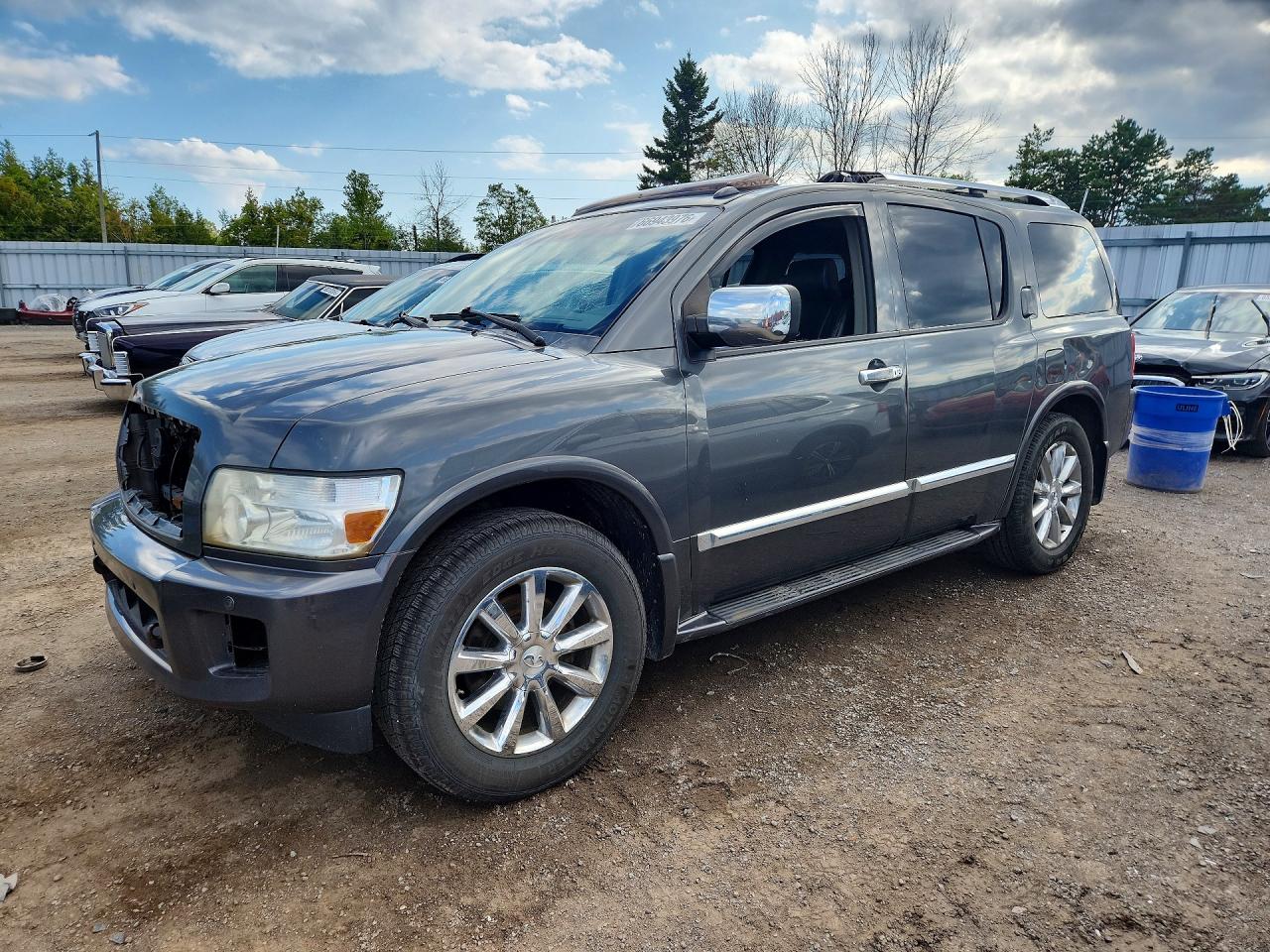 2010 INFINITI QX56 BASE | 5N3ZA0NE1AN907212 | UPCARS