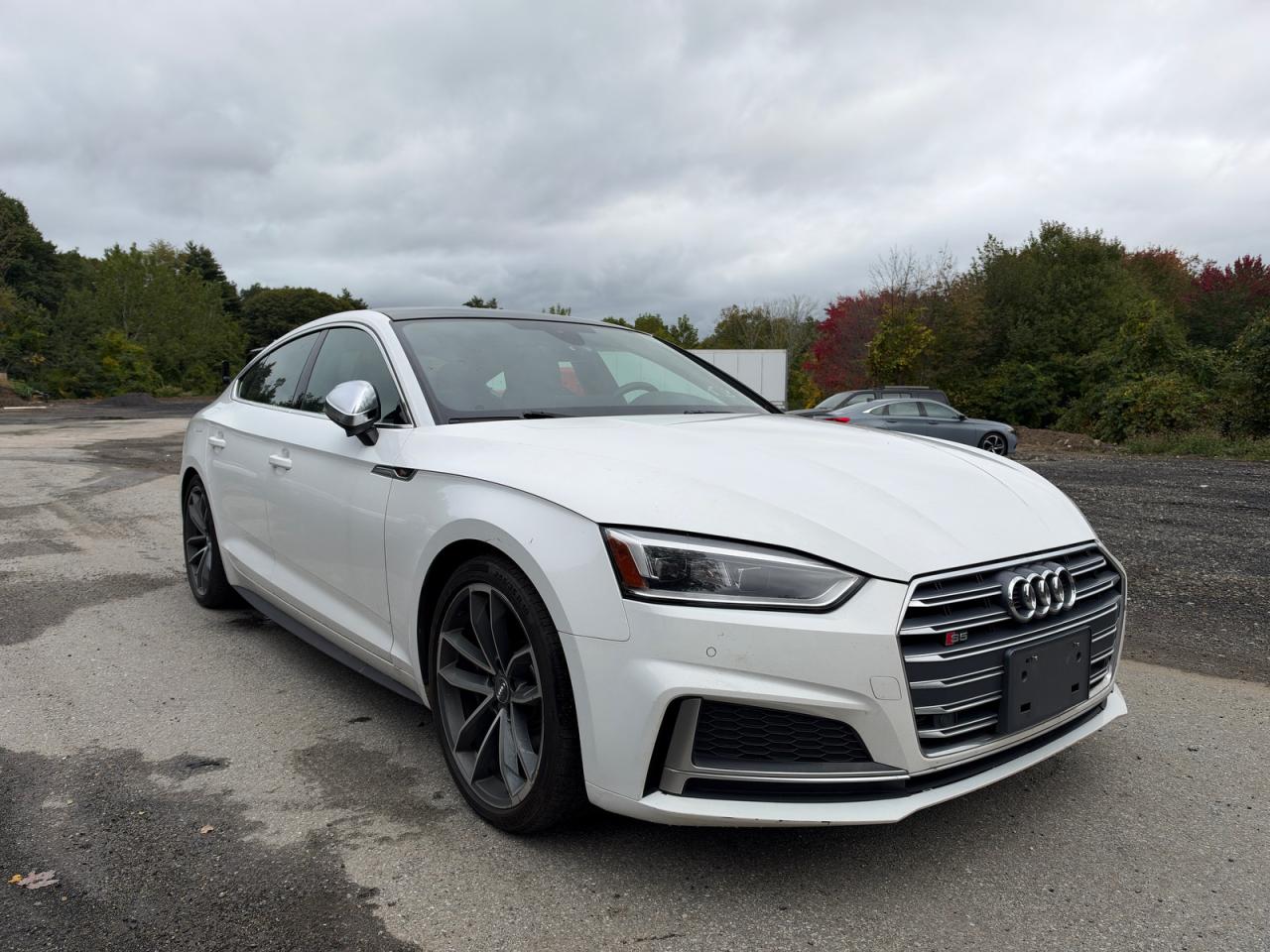 2018 AUDI S5/RS5 PREMIUM PLUS | WAUB4CF5XJA080658 | UPCARS