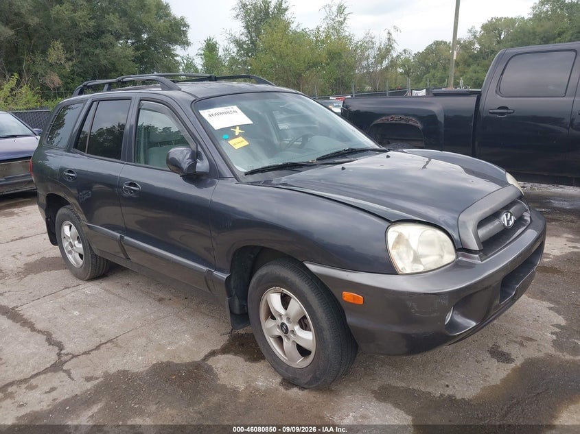 2005 HYUNDAI SANTA FE GLS/LX | KM8SC13E15U904982 | UPCARS
