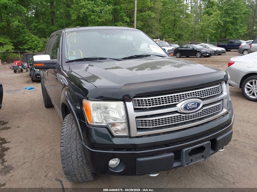 2011 FORD F-150 PLATINUM | 1FTFW1EF3BFA21758 | UPCARS
