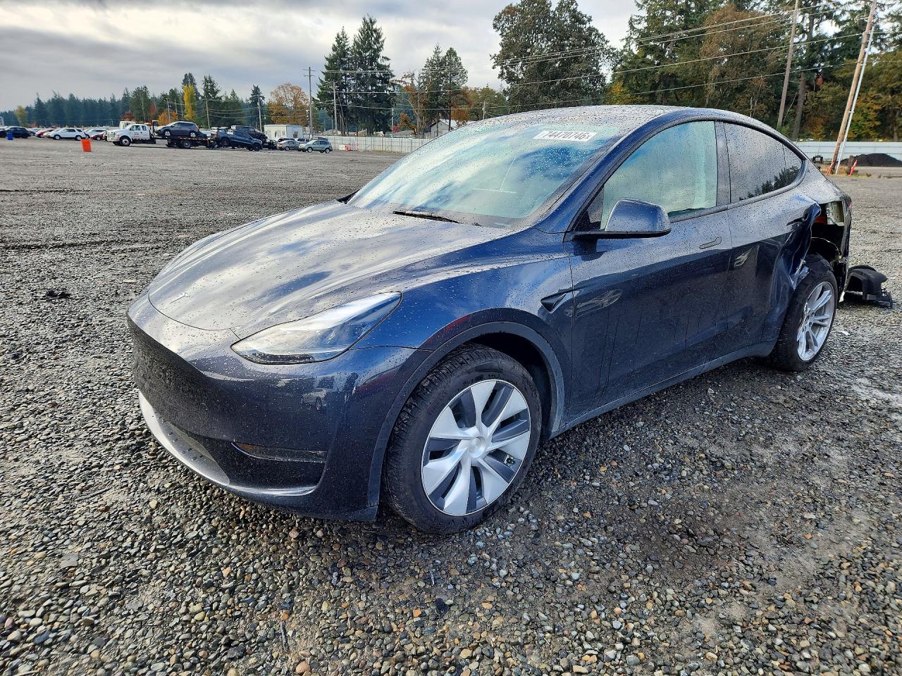 2024 TESLA MODEL Y | 7SAYGDEE1RA261324 | UPCARS