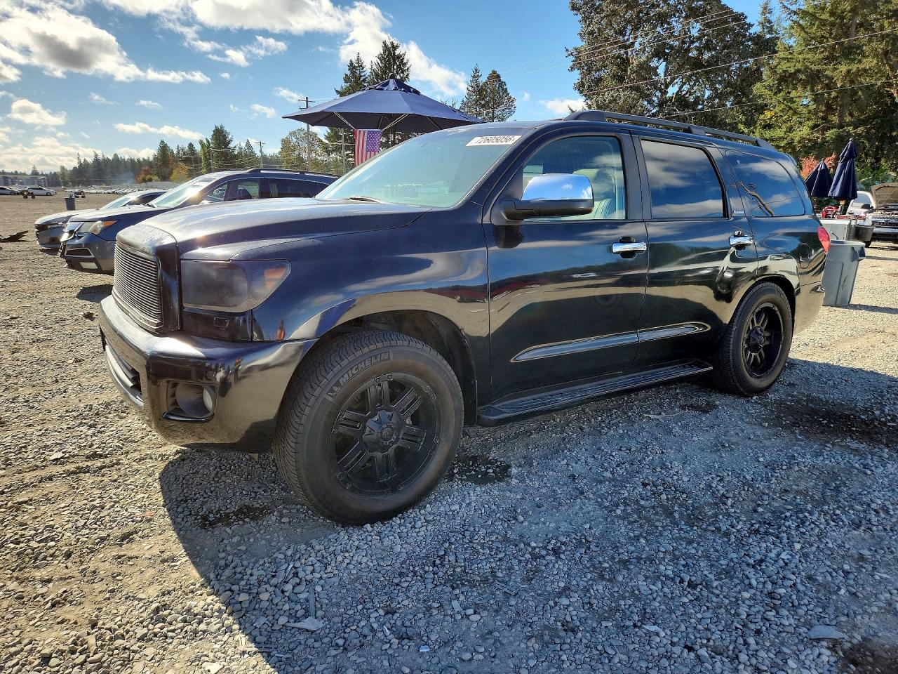2010 TOYOTA SEQUOIA PLATINUM | 5TDDW5G18AS028476 | UPCARS
