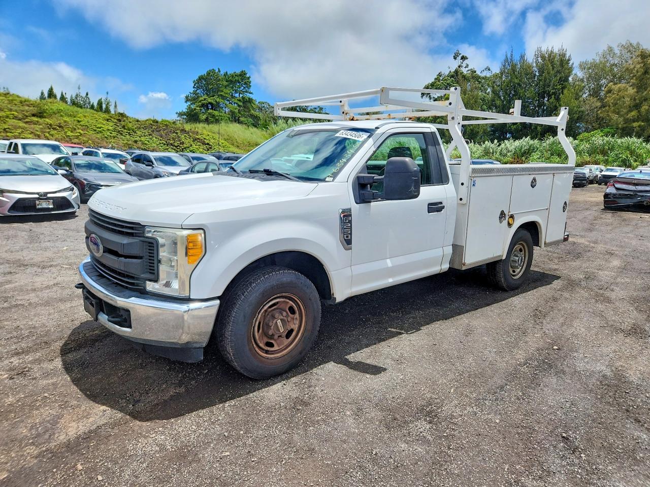 2017 FORD F250 SUPER DUTY | 1FDBF2A65HEB70158 | UPCARS
